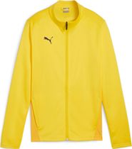 Puma Teamgoal Training Jacket Jr Jungen Laufjacke