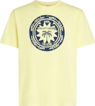 O'neill Musthave Graphic T-shirt