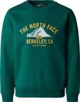 Teen Varsity Graphic Relaxed Crew