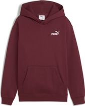 Essentials Small No. 1 Logo Relaxed Hoodie FL B
