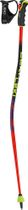 LEKI WCR Evo Lite GS TR