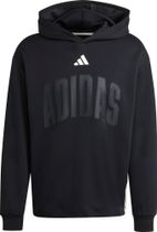 adidas Stadium Graphic Hoodie Men
