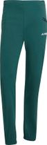 Terrex Xperior Light Pants