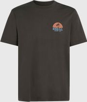 O'neill Beach Graphic T-shirt