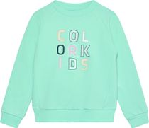 Color Kids Sweat W. Logo Print 742635