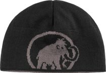 Logo Beanie