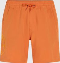 O'riginals Cali Ocean 16'' Swimshorts