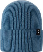 Reissari