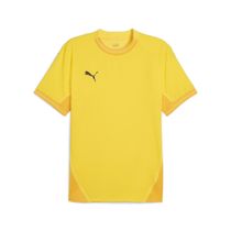 Puma Teamfinal Jersey Herren Laufshirt