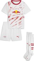 RBL Home Minikit
