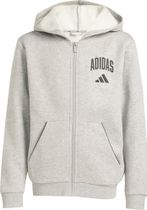 adidas Seasonals Collegiate Typography Hoody