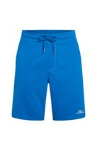 O'neill Small Logo Sweatshorts