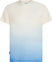 Icebreaker Men Merino Blend 125 Cool-lite Sphere Short Sleeve Tee Alta Men's Running Shirt