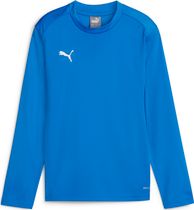 Puma Teamgoal Training Sweat Jr