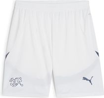 SFV Shorts Replica