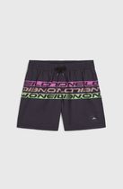 O'neill Cali Stripe 14" Swimshorts