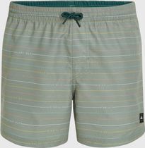 Jack O'neill Cali First 15'' Swim Shorts