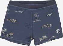 Swim Trunks AOP 720277