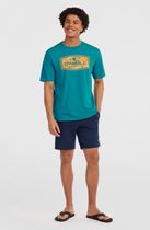 O'neill Small Logo Sweatshorts