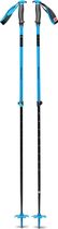 Traverse Ski Poles