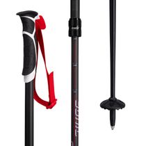 Sonic R1 Demonstrator