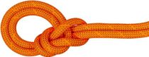 9.8 Crag Dry Rope