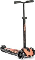 Scoot and Ride Highwaykick 5 LED