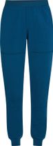 Icebreaker Men Mer 300 Realfleece Descend Jogger Men's technical base layer