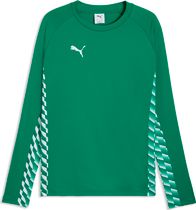 Puma teamLIGA26 Training Sweat