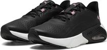 X-cell Nova CAT SL Wns