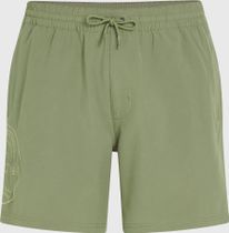 O'riginals Cali Ocean 16'' Swimshorts