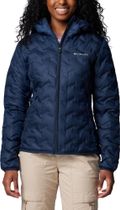 Delta Ridge II Down Hooded Jacket
