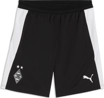Puma Teamking Anthem Pants Herren  Outdoorhose