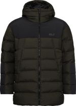 Jack Wolfskin ICY Hollow Hooded Jacket M Herren Freizeitjacke
