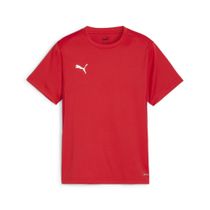 Teamgoal Jersey Jr