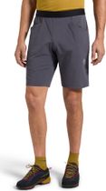 Helixir Shorts Men