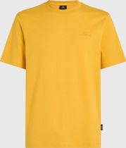 O'neill Small Logo T-shirt