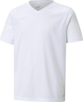 Teamflash Jersey Jr