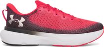 Under Armour Infinite Herren Laufschuhe