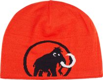 Logo Beanie