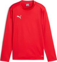Puma Teamgoal Training Short Outdoor Shorts für Jungen