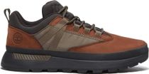 Mens Low Lace UP Sneaker