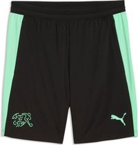 Puma SFV Training Shorts w/ Pockets Men's Running Shorts