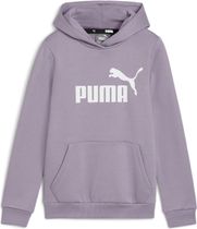 Essentials Logo Hoodie FL G