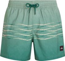 O'Neill O'neill First 15'' Swimshorts Men Swimwear