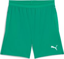 Puma Teamgoal Sleeve Sock Herren Sportsocken
