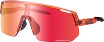 Shimano Technium L Road Bike Brille