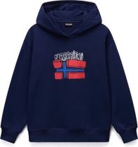 Napapijri K B-albedo H Men's midlayer for any outdoor activities