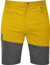 Anvil Men's Short