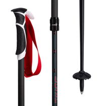 Sonic R3 Demonstrator